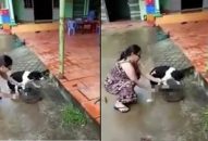 Người phụ nữ Phú Quốc chặt sống chân chó: Vì yêu